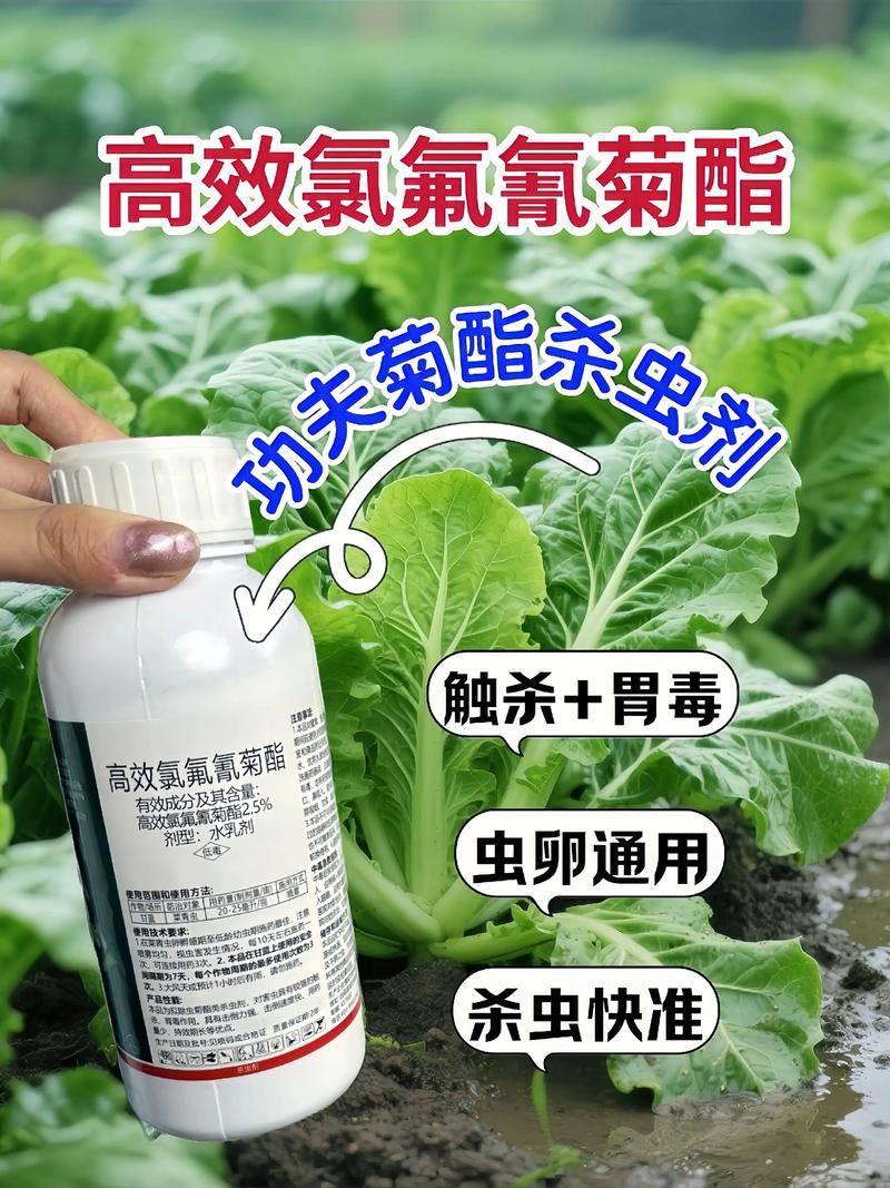 綦江代生中心:农药对供卵代生妈妈的危害